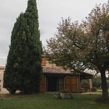 Migliarino Panzió
